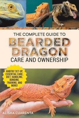 Complete Guide to Bearded Dragon Care and Ownership