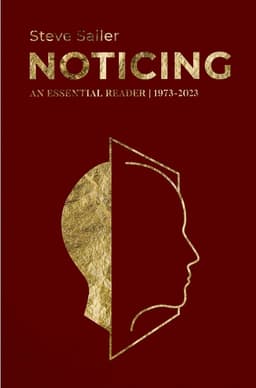 Noticing: An Essential Reader (19732023)