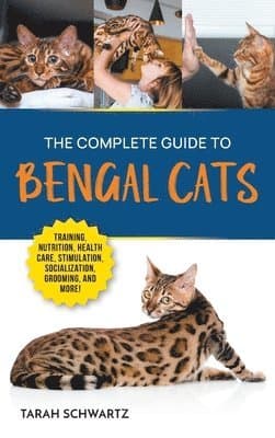 Complete Guide to Bengal Cats