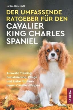 Umfassende Ratgeber Für Den Cavalier King Charles Spaniel