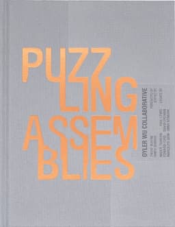 Puzzling Assemblies