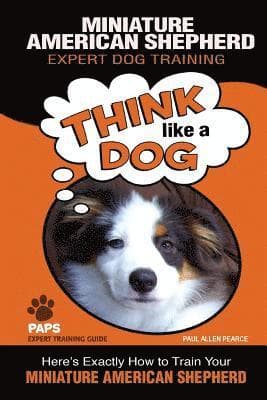 MINIATURE AMERICAN SHEPHERD Expert Dog Training