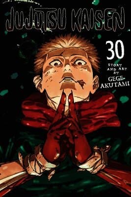 Jujutsu Kaisen, Vol. 30
