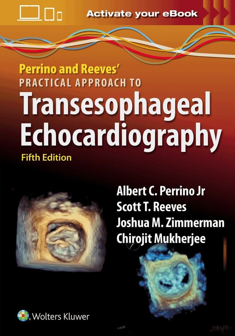 Perrino and Reeves' Practical Approach to Transesophageal Echocardiography