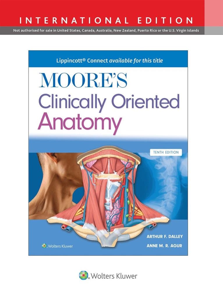 Moore's Clinically Oriented Anatomy