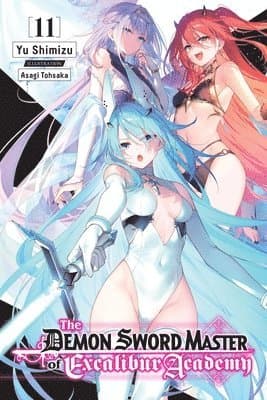Demon Sword Master of Excalibur Academy, Vol. 4 (light novel)