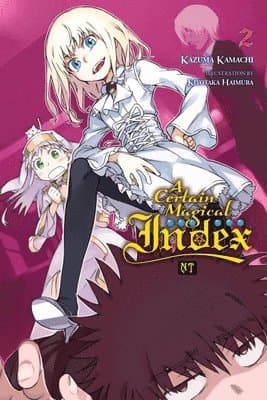 Certain Magical Index NT, Vol. 2 (light novel)