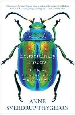 Extraordinary Insects
