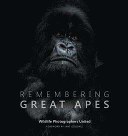 Remembering Great Apes