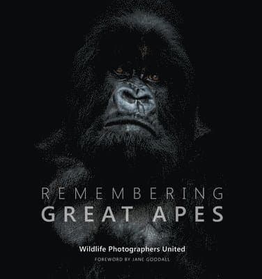 Remembering Great Apes