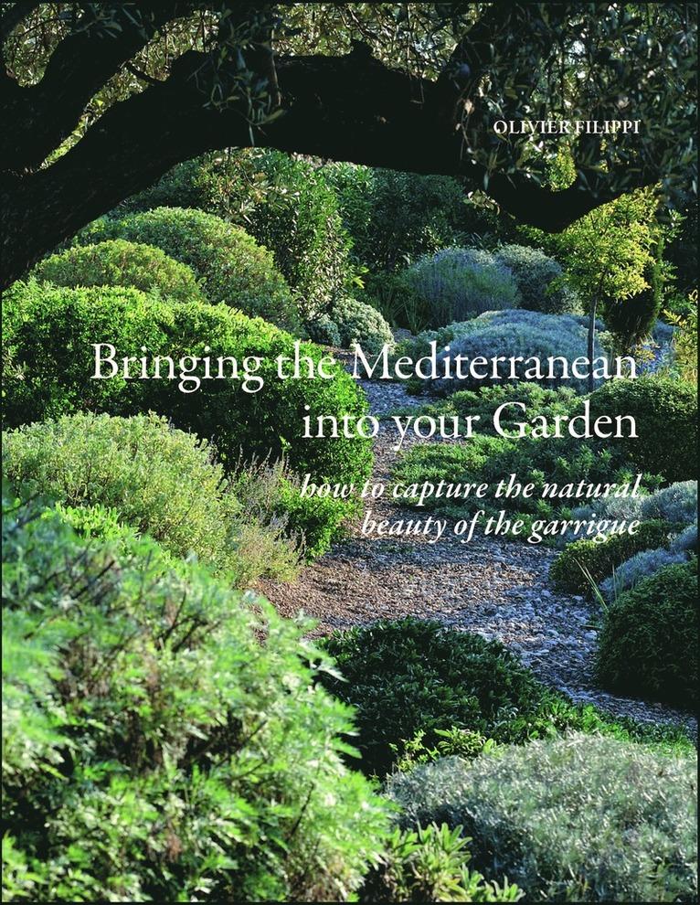 Bringing the Mediterranean into your Garden