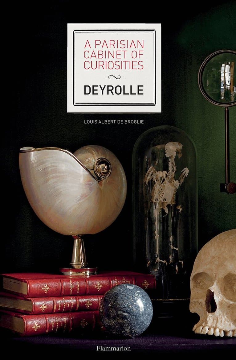 Parisian Cabinet of Curiosities: Deyrolle