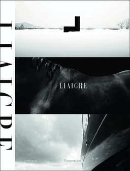 Liaigre: 12 Projects