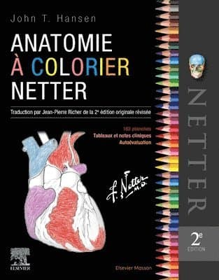 Anatomie � colorier Netter