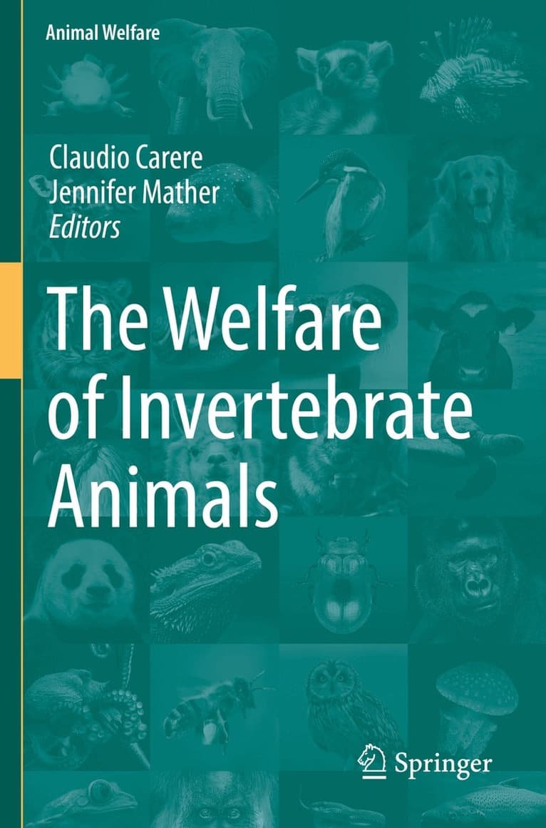 Welfare of Invertebrate Animals