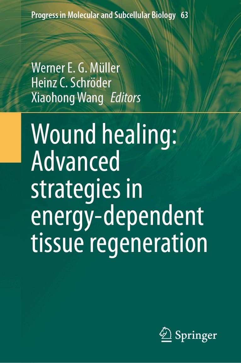 Wound healing: Advanced strategies in energy-dependent tissue regeneration