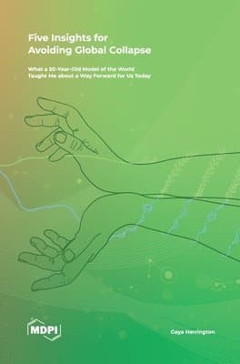 Five Insights for Avoiding Global Collapse