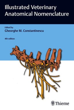 Illustrated Veterinary Anatomical Nomenclature
