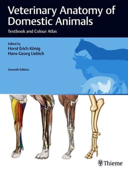 Veterinary Anatomy of Domestic Animals