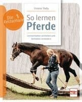 So lernen Pferde
