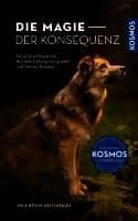 Die Magie der Konsequenz