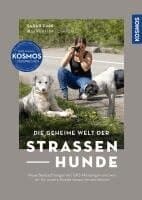 Die geheime Welt der Straßenhunde