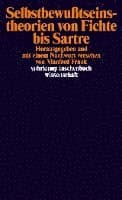 Selbstbewußtseinstheorien von Fichte bis Sartre