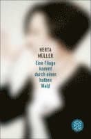 Eine Fliege kommt durch einen halben Wald