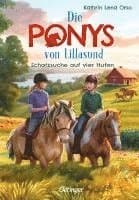 Die Ponys von Lillasund 2. Schatzsuche auf vier Hufen