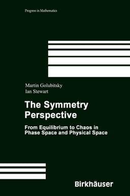Symmetry Perspective