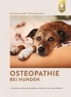 Osteopathie bei Hunden