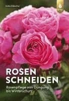 Rosen schneiden