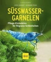 Süßwasser-Garnelen