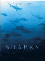 Michael Muller. Sharks