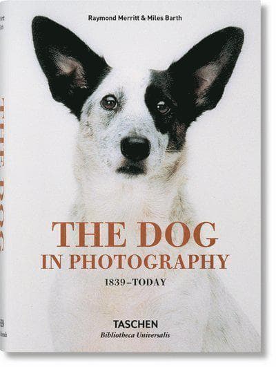 Dog in Photography 1839–Today