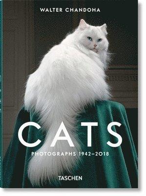 Walter Chandoha. Cats. Photographs 1942–2018