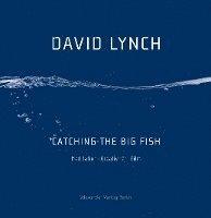 Catching the Big Fish