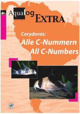 Aqualog Extra: The Latest Corydoras