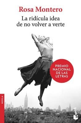 La Ridícula Idea de No Volver a Verte (a Novel)
