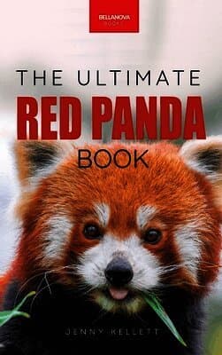 Red Pandas The Ultimate Book
