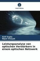 Leistungsanalyse von optischen Verstärkern in einem optischen Netzwerk