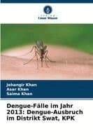 Dengue-Fälle im Jahr 2013