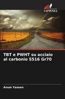 TBT e PWHT su acciaio al carbonio S516 Gr70