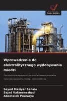 Wprowadzenie do elektrolitycznego wydobywania miedzi
