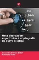 Uma abordagem algorítmica à criptografia de curva elíptica