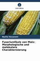 Fusariumfäule von Mais