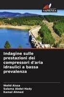 Indagine sulle prestazioni dei compressori d'aria idraulici a bassa prevalenza