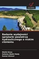 Badanie wydajności sprężarki powietrza hydraulicznego o niskim ciśnieniu