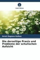 derzeitige Praxis und Probleme der schulischen Aufsicht