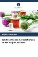 Wildwachsende Arzneipflanzen in der Region Buchara
